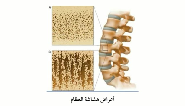 العلاج وترك لتحقيق بالقرآن علاج شرك الكريم هو بالله ذلك والتولة التعلق التمائم خير خير علاج