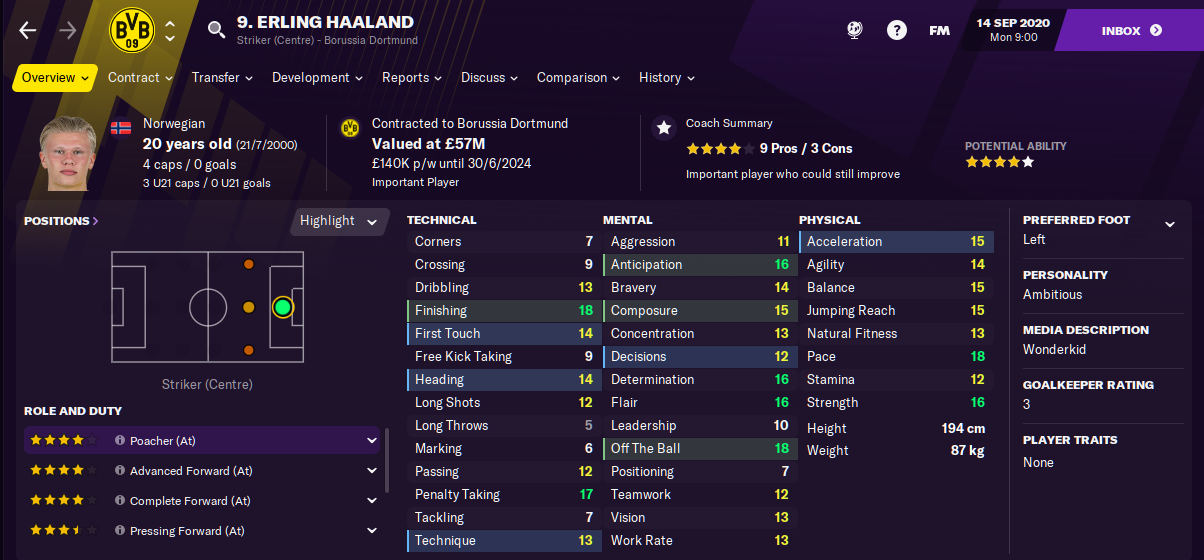 Football Manager 2021 Erling Haaland FM21 Football Manager 2021 Erling Haaland FM21
