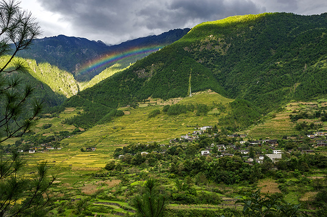 200 Mẫu Tranh Phong Cảnh Đẹp Núi Rừng Tây Bắc AmiA  Ubud Inspiração para  viagens Ideias de paisagismo