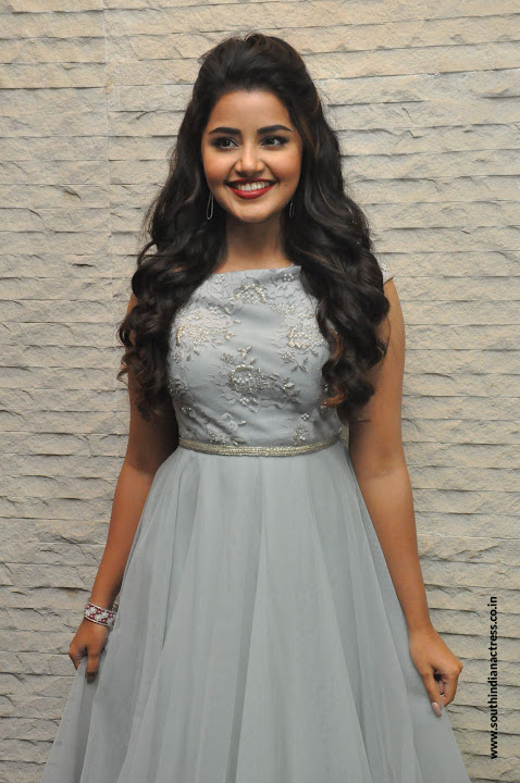Anupama Parameswaran at Vunnadi Okate Zindagi Pre Release