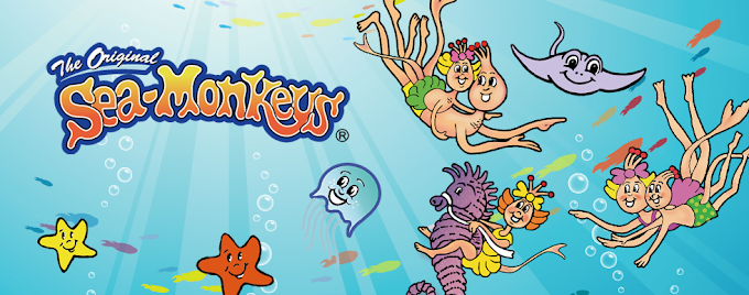 Most Common Questions about Sea-Monkeys!