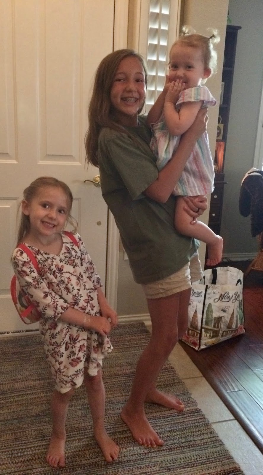 Kitty's Kozy Kitchen Blackberry and Raspberry Frozen Yogurt