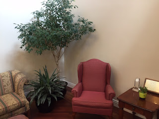 indoor office plant careand pricing;interior landscaping;inside plant maintenance 