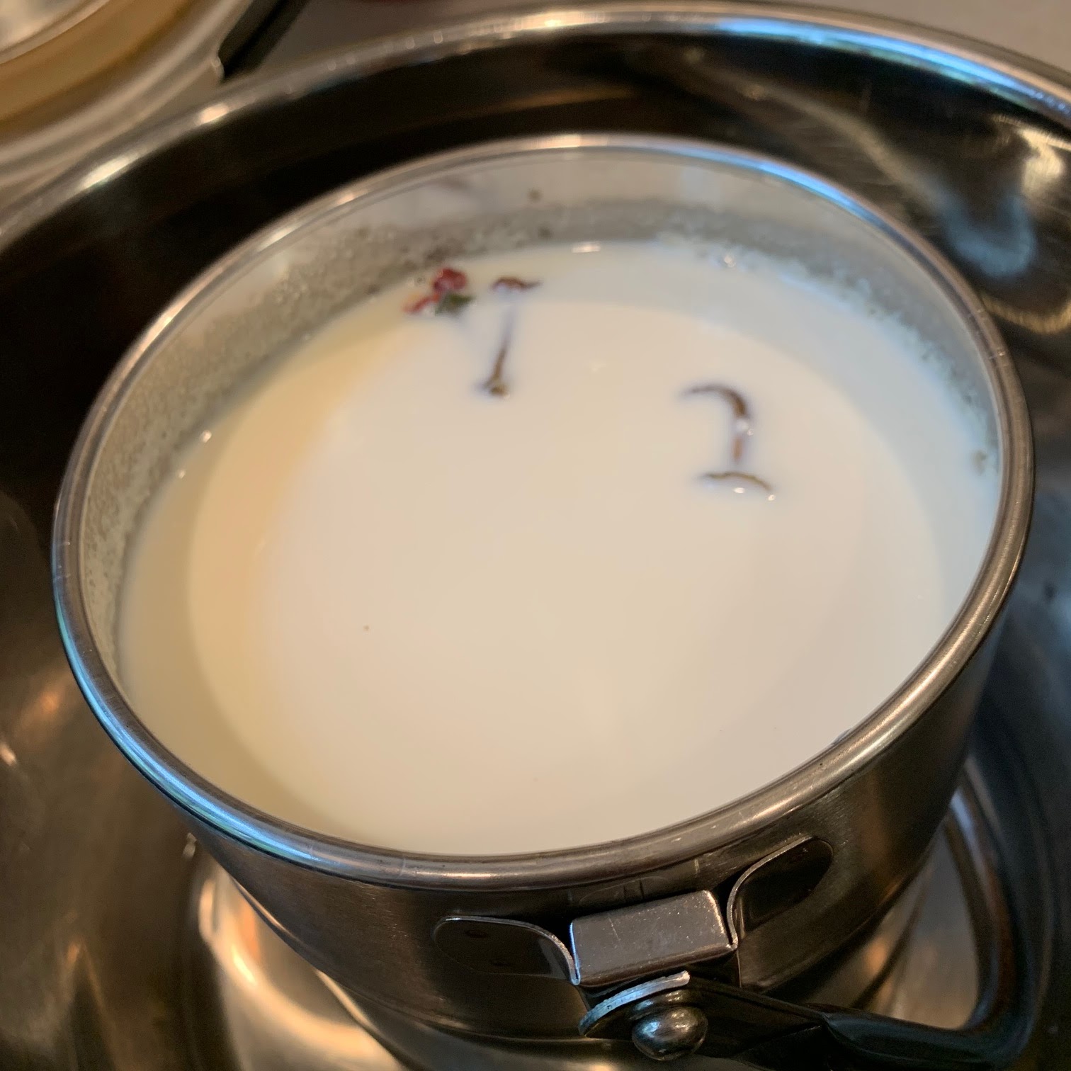 Kashi Delights Homemade Yogurt FailProof Instant Pot Method