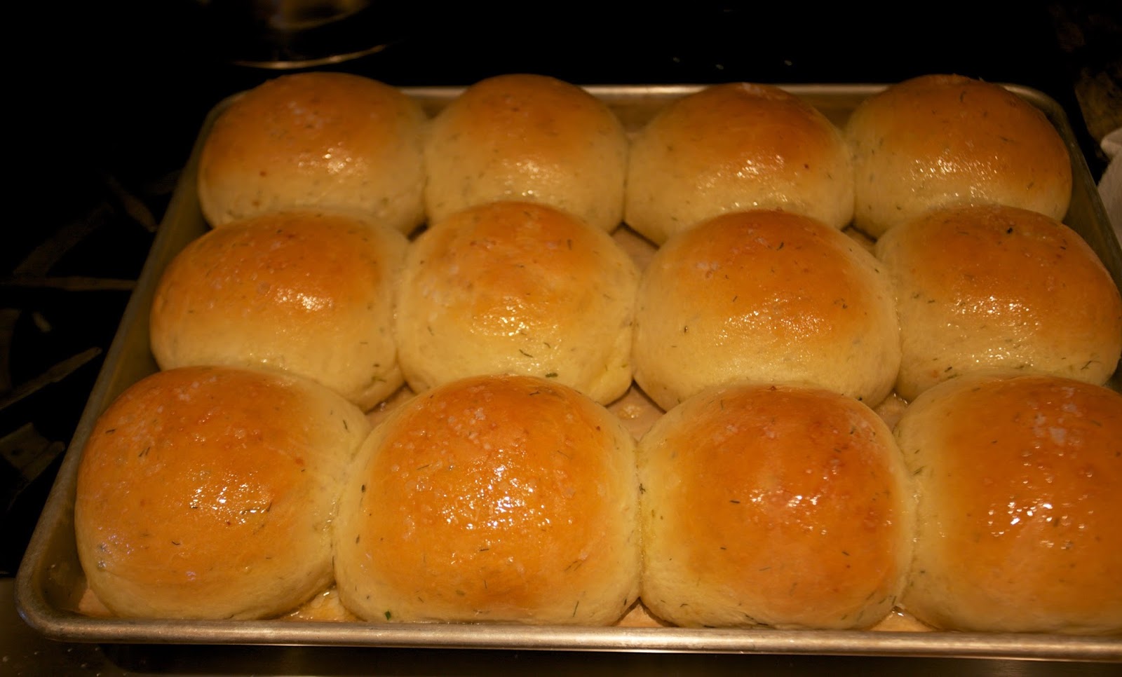 Amish Cottage Cheese Dill Rolls
