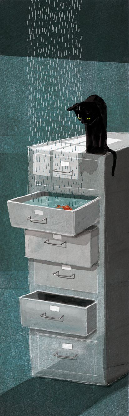 El Hechizo De Lluvia / | Colorado Mountain College