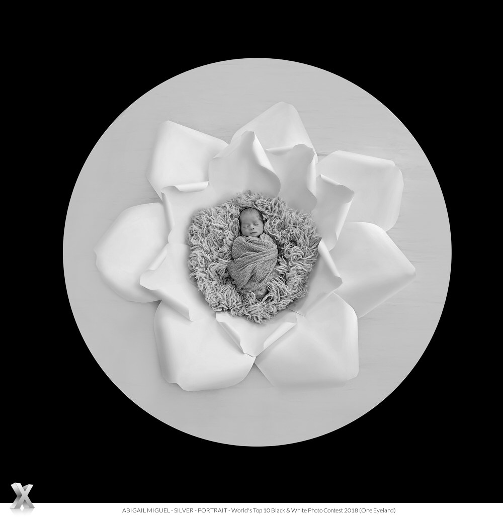 Luxury Interior Design, Architecture and Lifestyle Top