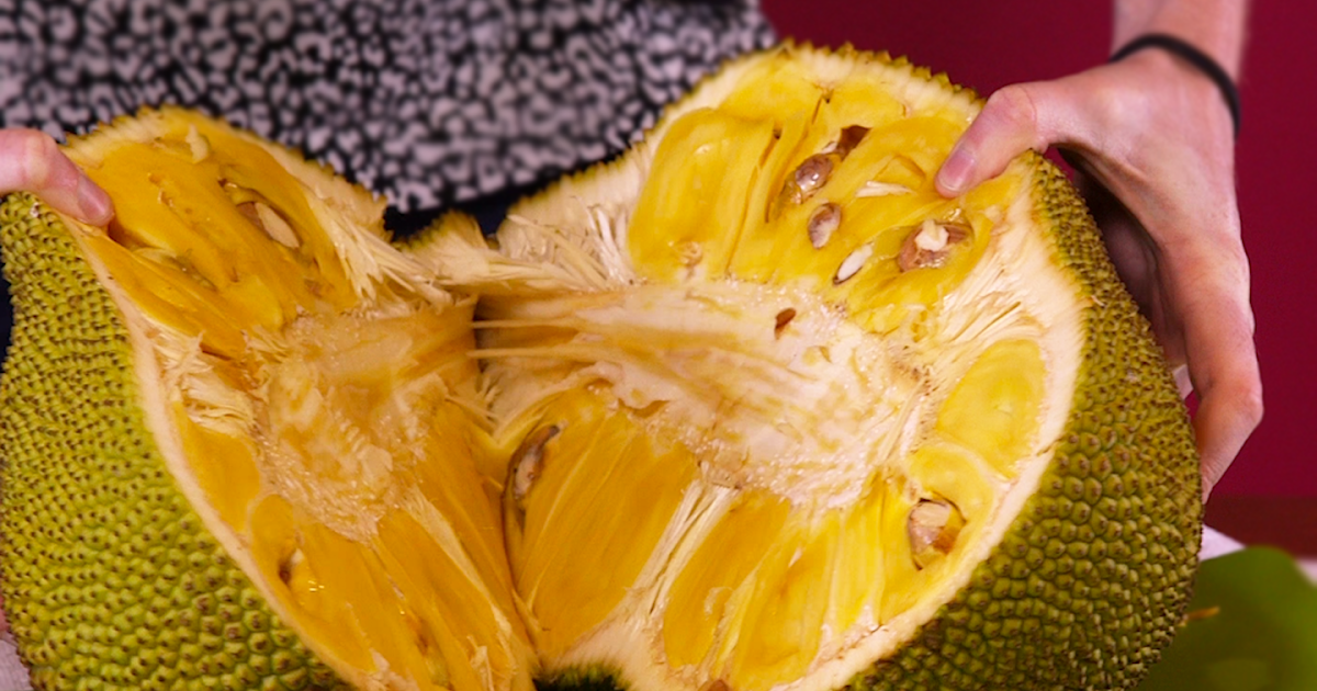 voilla..Benefits of Jackfruit for Human Health mrsmps