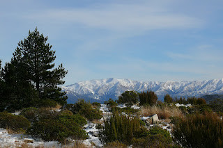 Puketeraki Range - Mount Thomas 1023 m