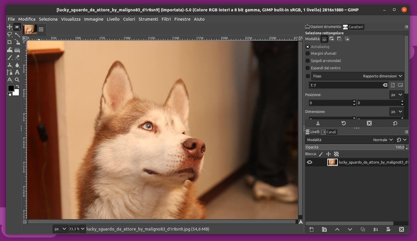 PhotoGIMP: la patch per rendere GIMP simile a Photoshop