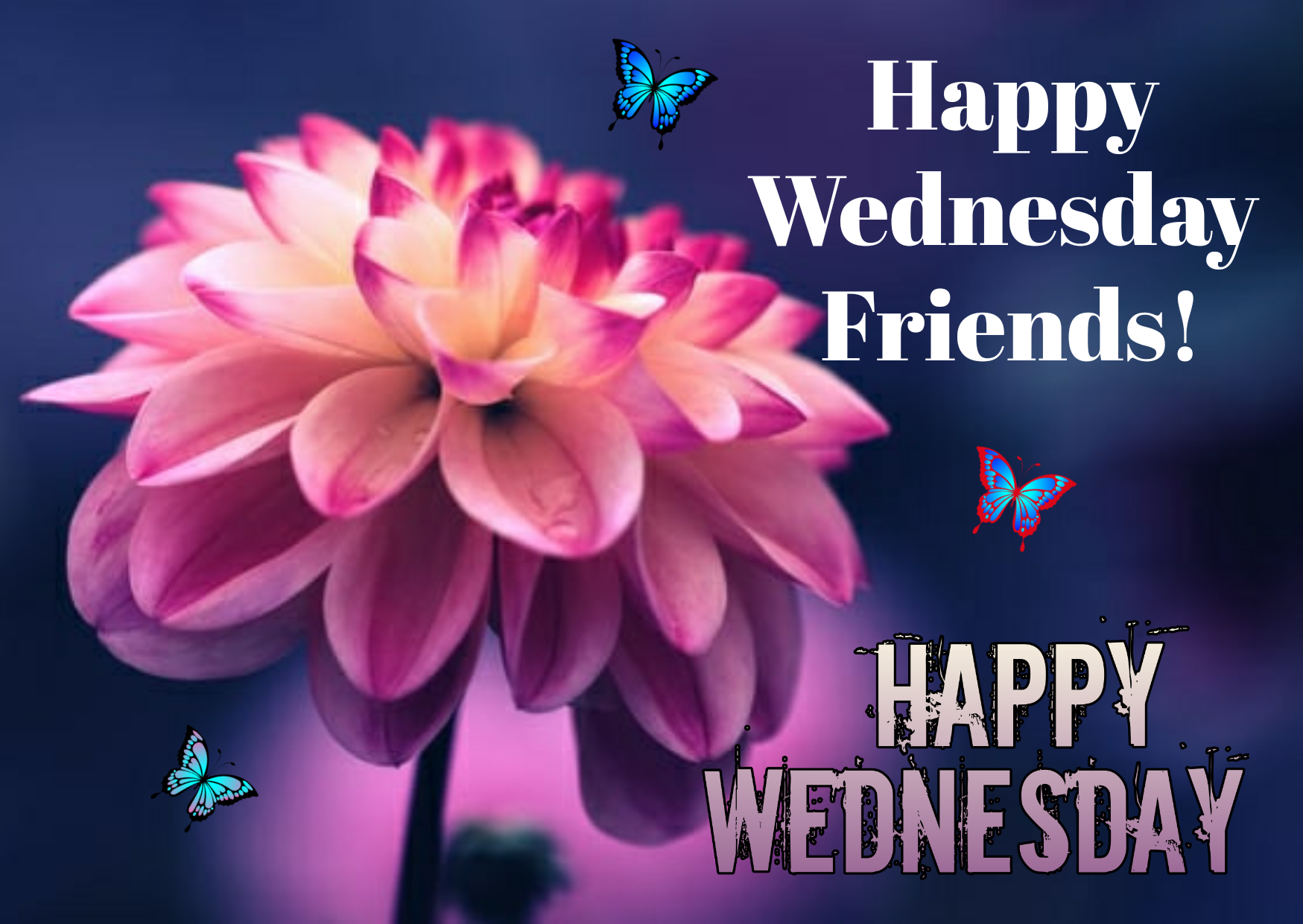 Happy Wednesday images, wishes, wallpaper, quotes, for whatsapp, Facebook,