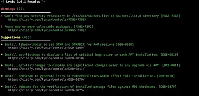 lynis result