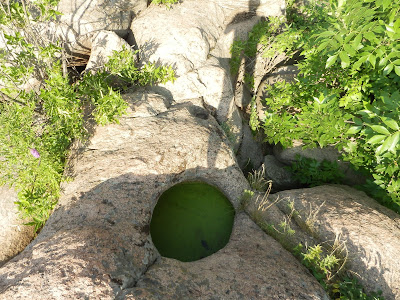 гранитный колодец в скале залит водой с плавающей ряской