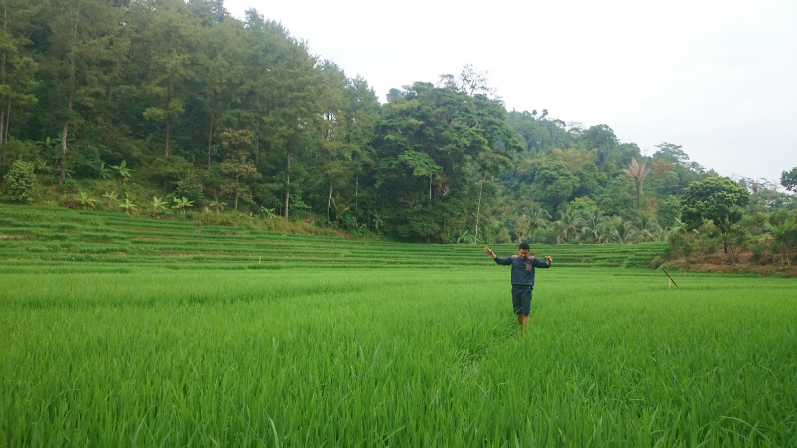 Jelajah Tatar Sunda, Majalengka (bagian 1)