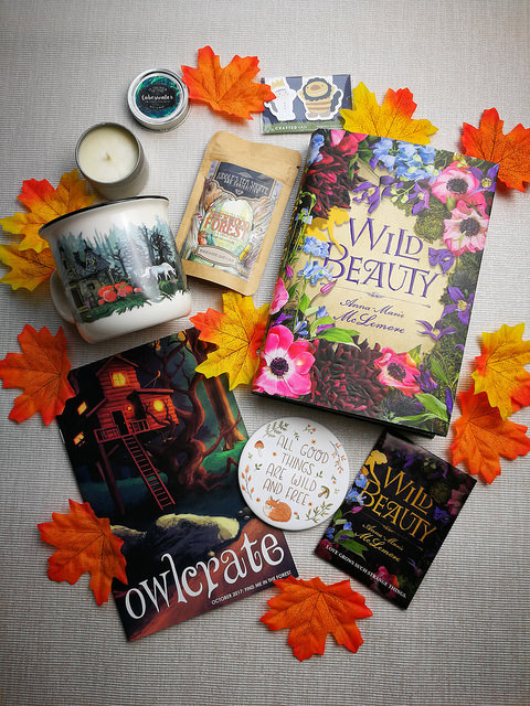 Owlcrate October 2017