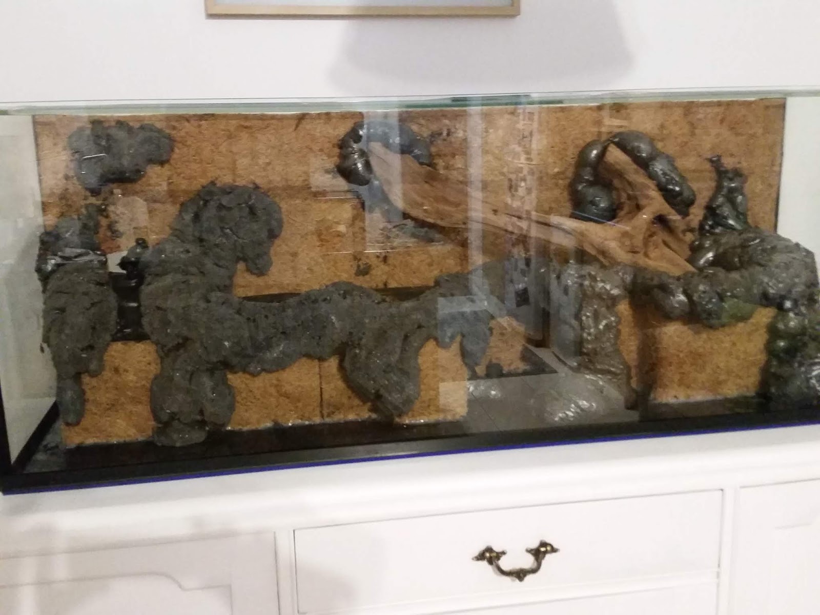 Setting up a Paludarium Building a Paludarium land area