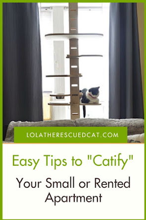 Catify small rented spaces