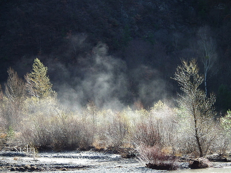 Brume ..Barles route des Clues