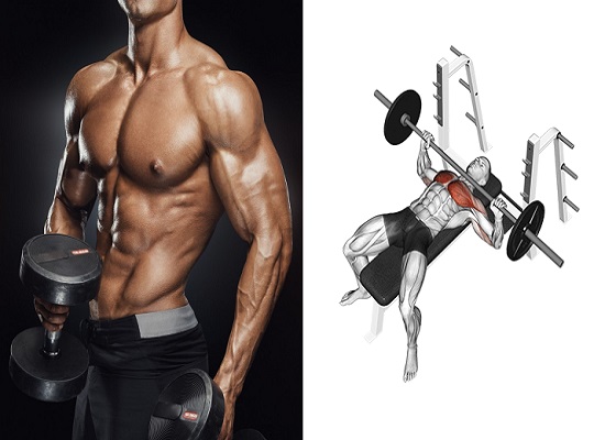 Best Chest Exercises To Pump Up Your Pecs Www Bodybuilding110 Com