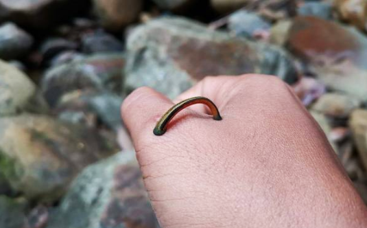 Ubat Gatal Luka Quotes 2019 c