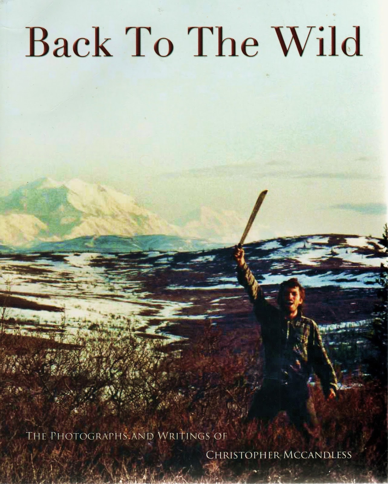 Рассел из мультика вверх. Жанр мультфильма приключения комедия. Into the wild постер. Up to the wild. Up to the wild.