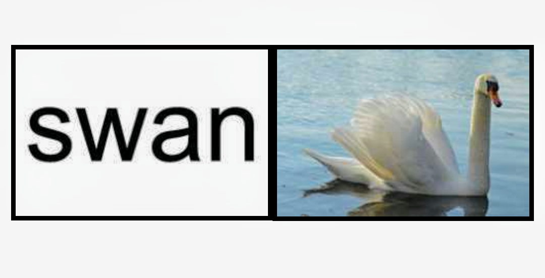 nouns (part 1) 23.4.2020