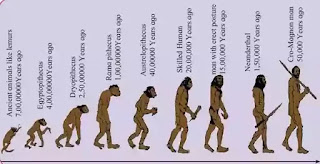 Textbook solutions for Class 10th Class 10 chapter 1 heredity and evolution textbooks solutions
