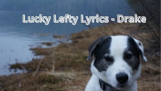 Lucky Lefty Lyrics By Drake