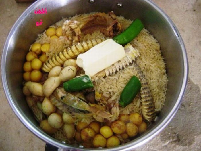 Nasi Beriani Daging Biawak padang Pasir ( Dhab ) | Pengembara Info