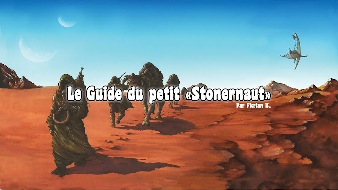 Le Guide du petit Stonernaut - Vol.1