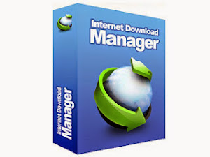 Internet Download Manager 6.14