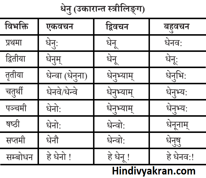 धेनु शब्द रूप संस्कृत में – Dhenu Shabd Roop In Sanskrit