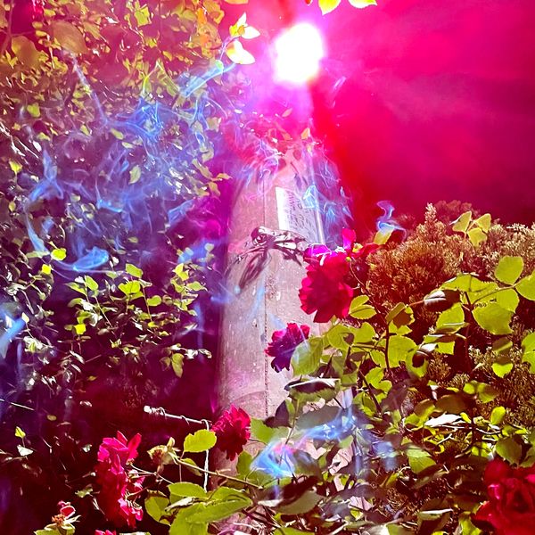 Nerd Connection – Nan – Single