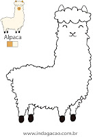 Alpaca Alpaca