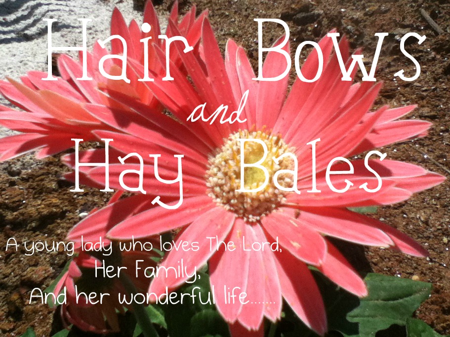 Hair Bows and Hay Bales