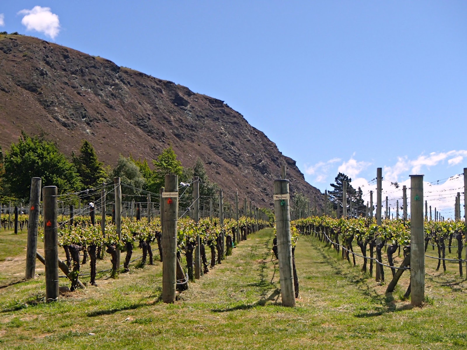 Laura and Peter Down Under Queenstown Wineries