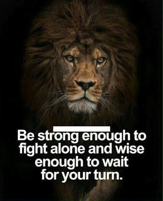 Inspirational Strong Lion Quotes