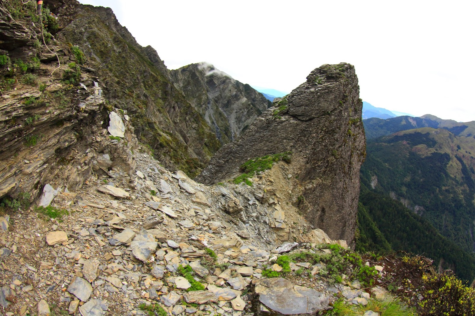 奇萊北壁上回望險峻的奇萊北峰