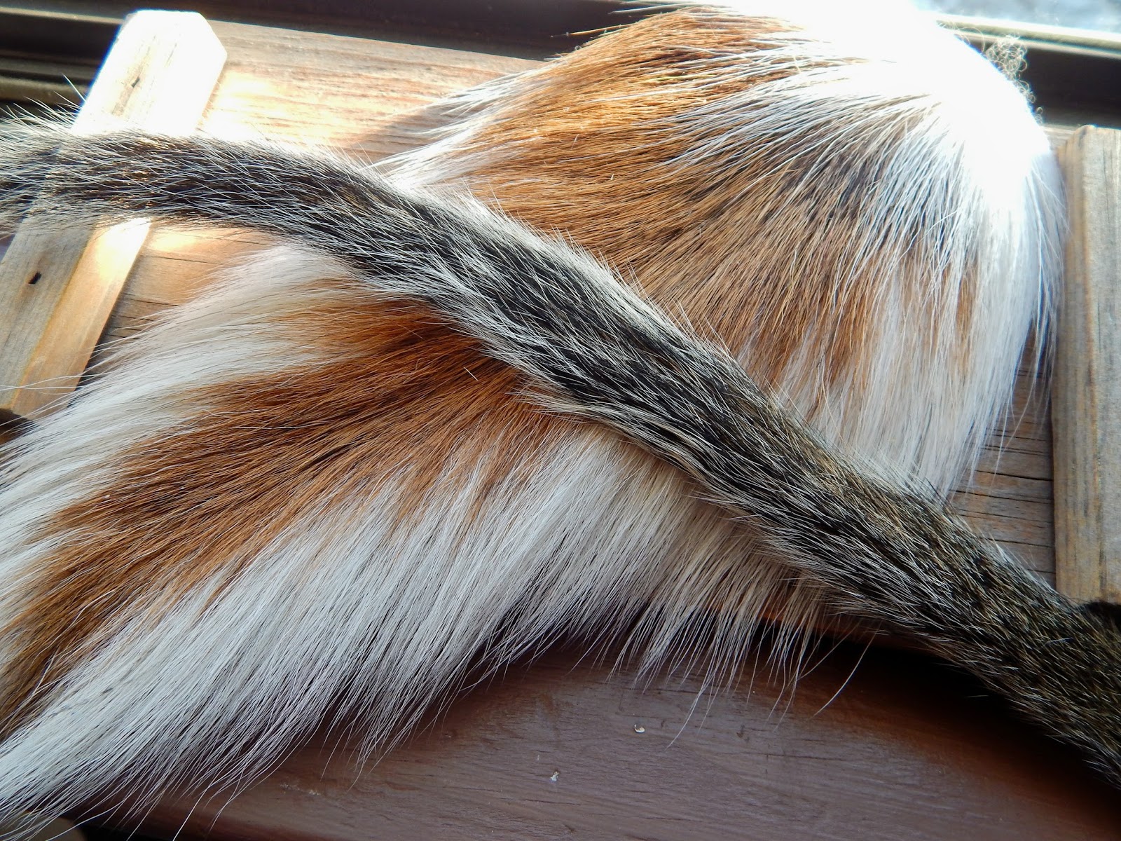 Small Stream Reflections: "Tails"