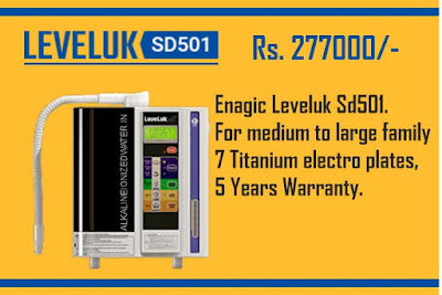 LeveLuk SD 501 price in Kolkata