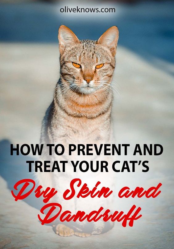 diabates remedies how to treat diabetic dry skin