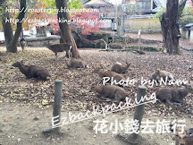 奈良公園紅葉:東大寺+興福寺