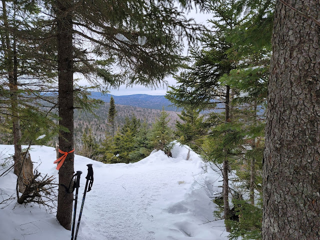 Au sommet du mont des Cascades