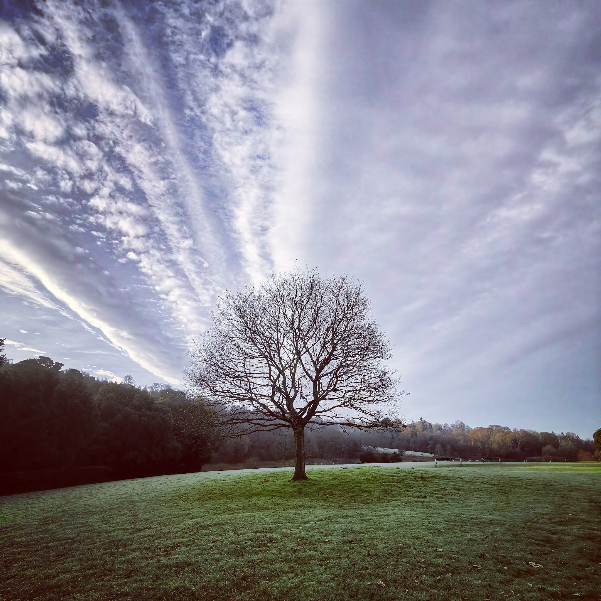 Mummy From The Heart: Reasons to be Cheerful - Advent, Cakes and Walks