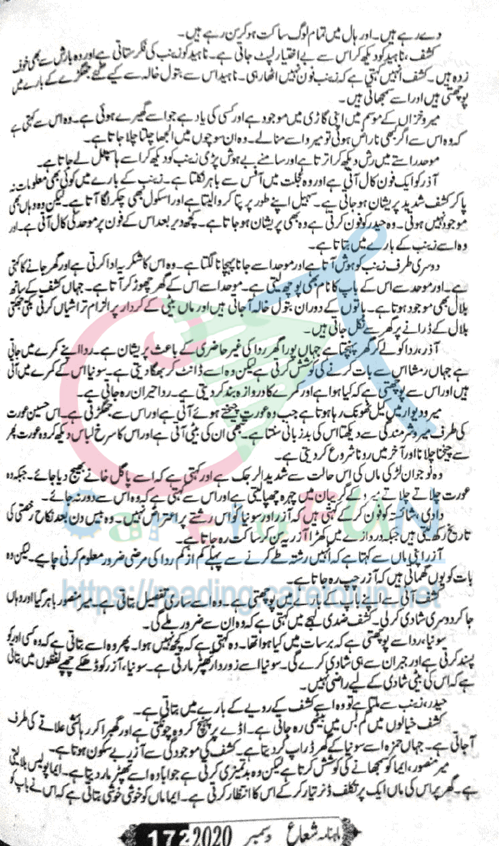 Sham Ki Haveli Main By Rukhsana Nigar Adnan Episode 24