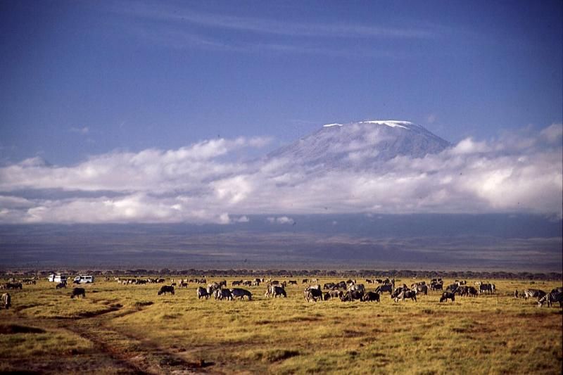 Mount Kilimanjaro - The Roof of Africa