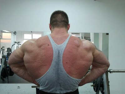 SEARCH AND BUY THIS PRODUCT Muscle Lover: Bulgarian bodybuilder Krasimir Sarafov