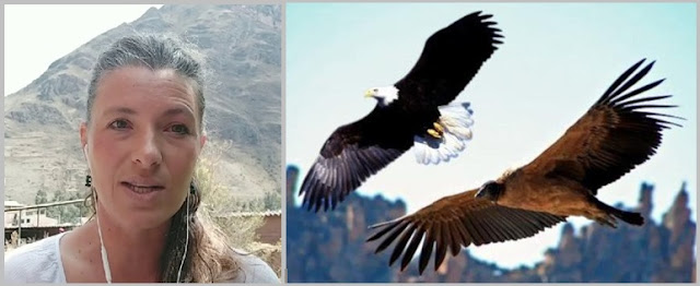 La Prophétie De L'aigle Et Du Condor DEVENONS TOUS JOURNALISTES.1