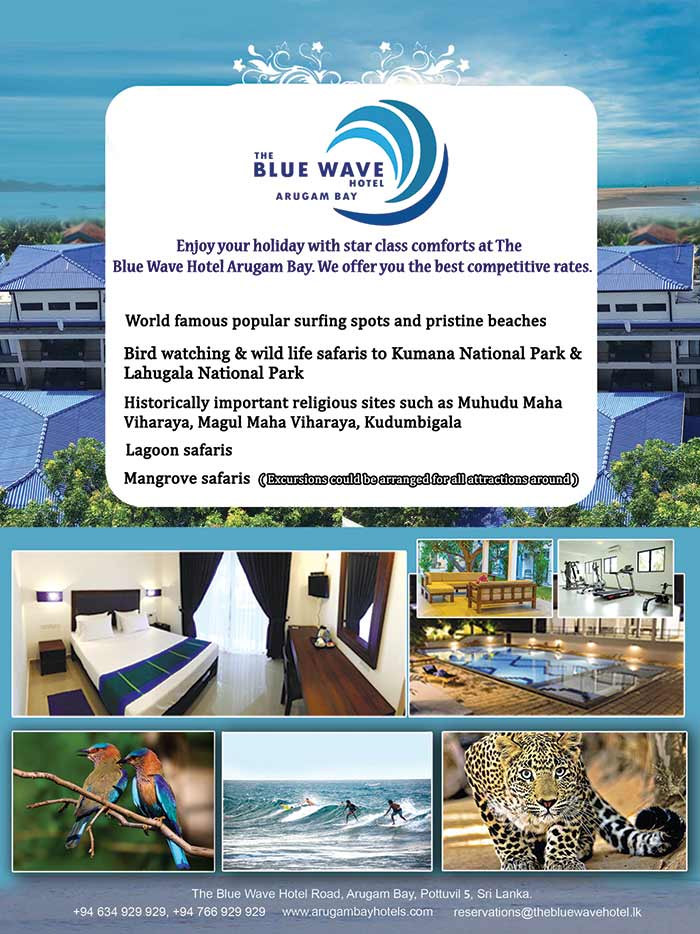The Blue Wave Hotel is a place used for relaxation or recreation, attracting visitors for vacations and tourism. Beautiful beaches, evening skies woven with colour, and a deep sense of serenity reserved exclusively for our guests. A combination of luxury and natural beauty produce an environment where peace and magically memorable moments.