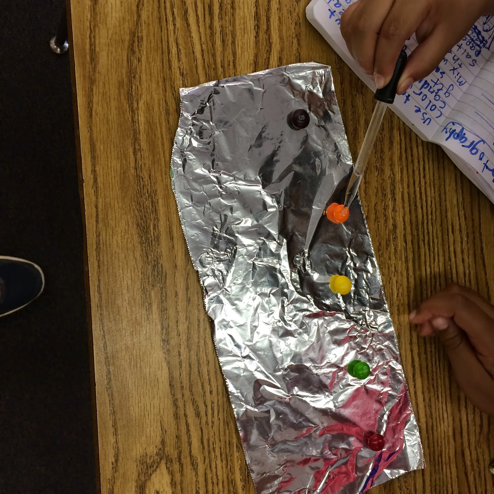 Archimedes Summer Science Camp at BAS Day 4 Skittle Chromatography